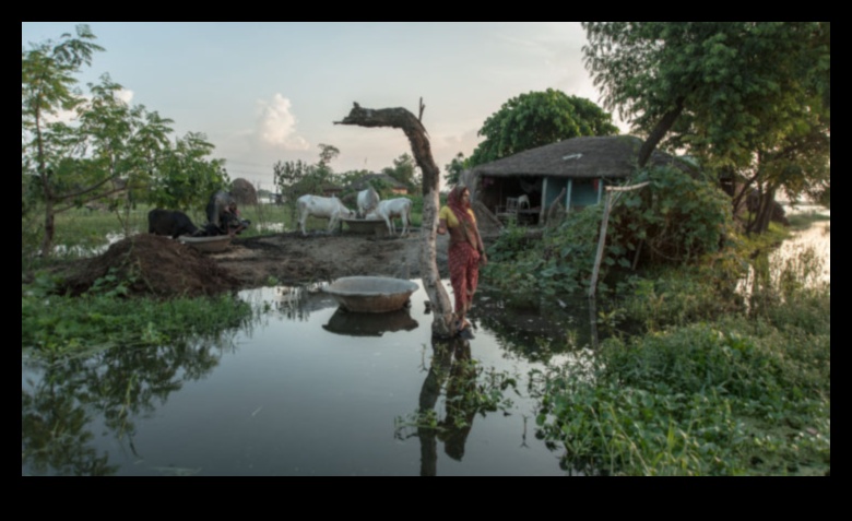 الحقائق الريفية: التقاط سحر الريف في التصوير الفوتوغرافي