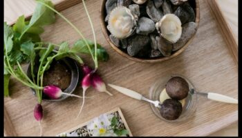 جواهر الذواقة: اكتشف تألق الطهي مع أفكار الوصفات الجديدة