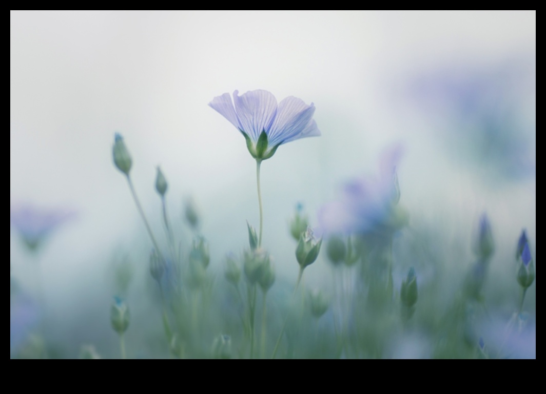 وجهات نظر الباستيل: الأشكال الناعمة في أساليب التصوير الفوتوغرافي حالمة