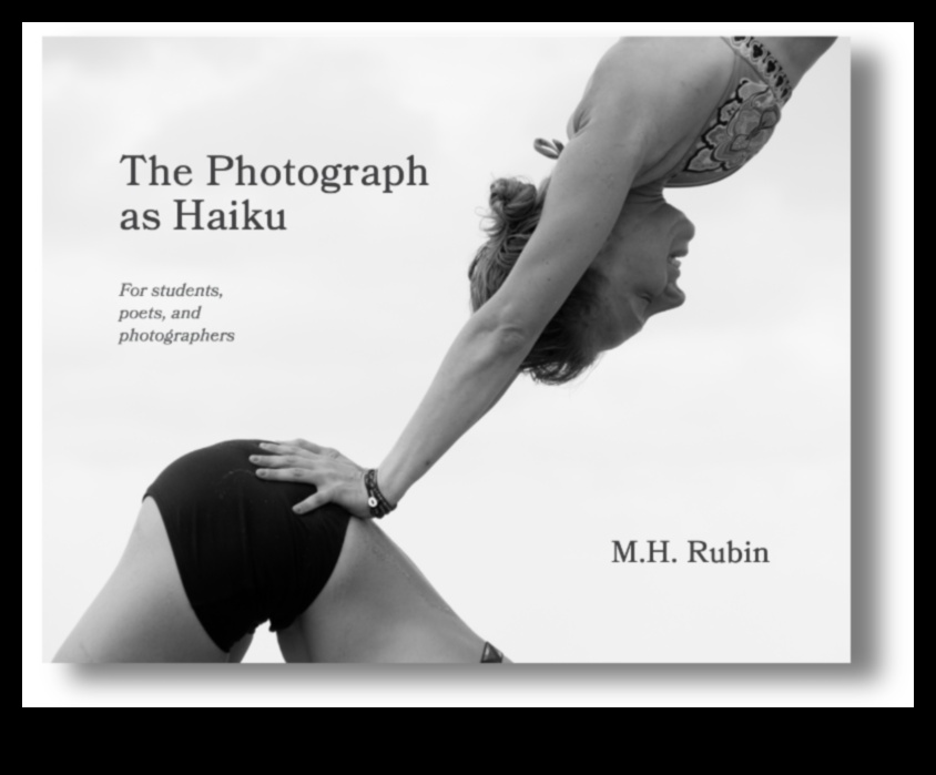 الشعر المصور: خلق الهايكو البصري في التصوير الفوتوغرافي