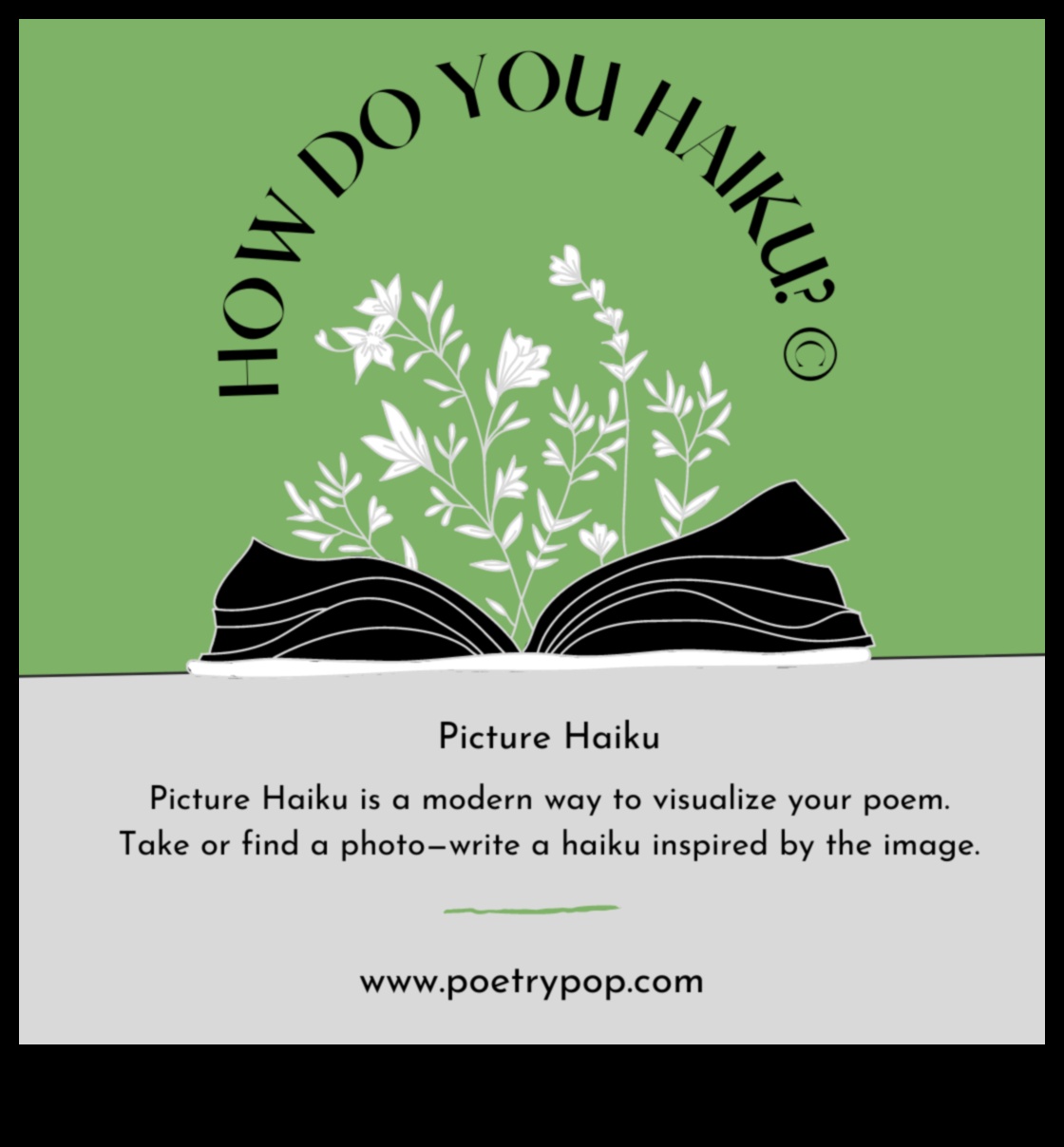 الشعر المصور: خلق الهايكو البصري في التصوير الفوتوغرافي