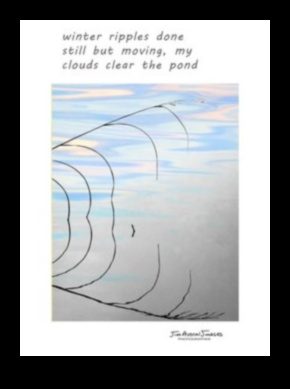 الشعر المصور: خلق الهايكو البصري في التصوير الفوتوغرافي