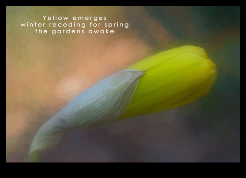 الشعر المصور: خلق الهايكو البصري في التصوير الفوتوغرافي