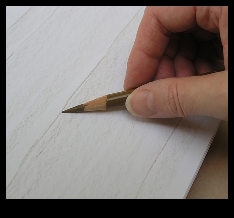 حقائق ملونة: تحقيق تفاصيل نابضة بالحياة في فن قلم الرصاص