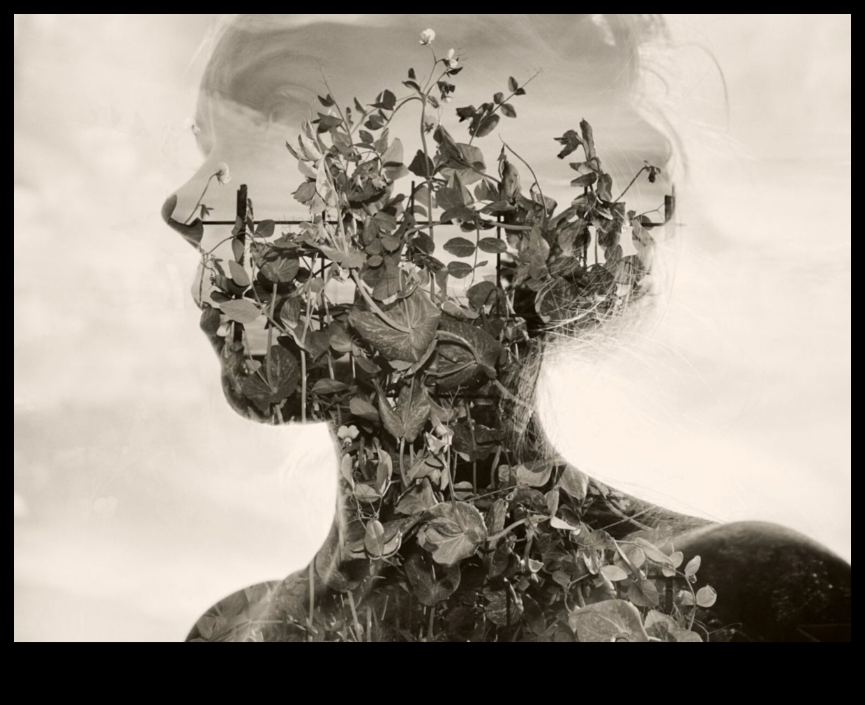 أحلام التعرض المزدوج: حقائق الطبقات في التصوير الفوتوغرافي