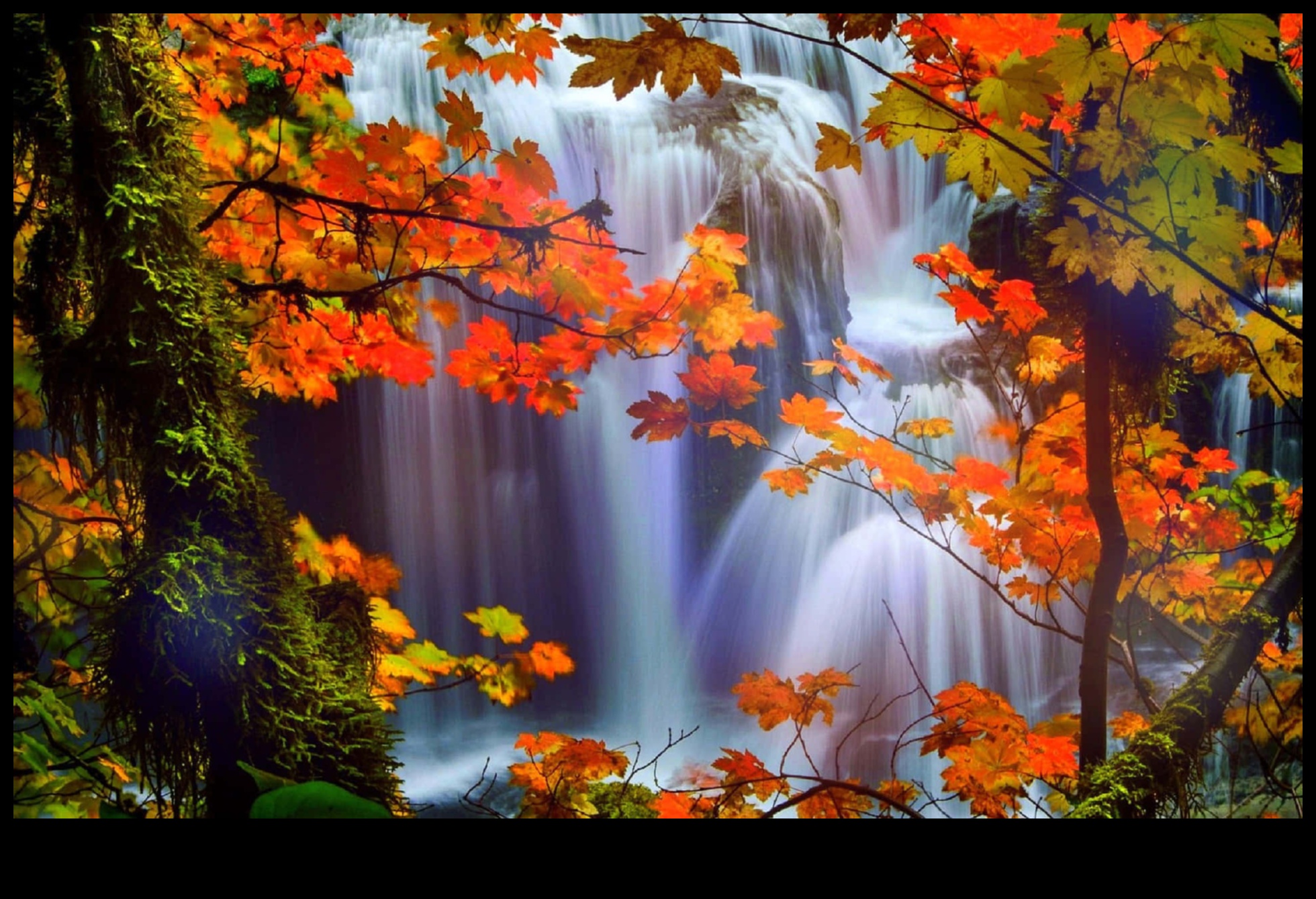 هالات الخريف: التقاط دفء الخريف باستخدام أساليب التصوير الموسمية