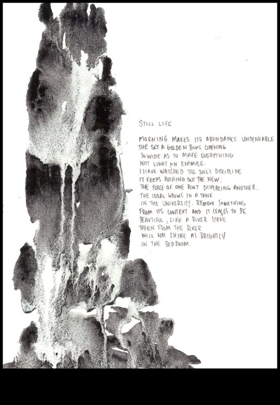 كائنات بالحبر: شعر الحياة الساكنة