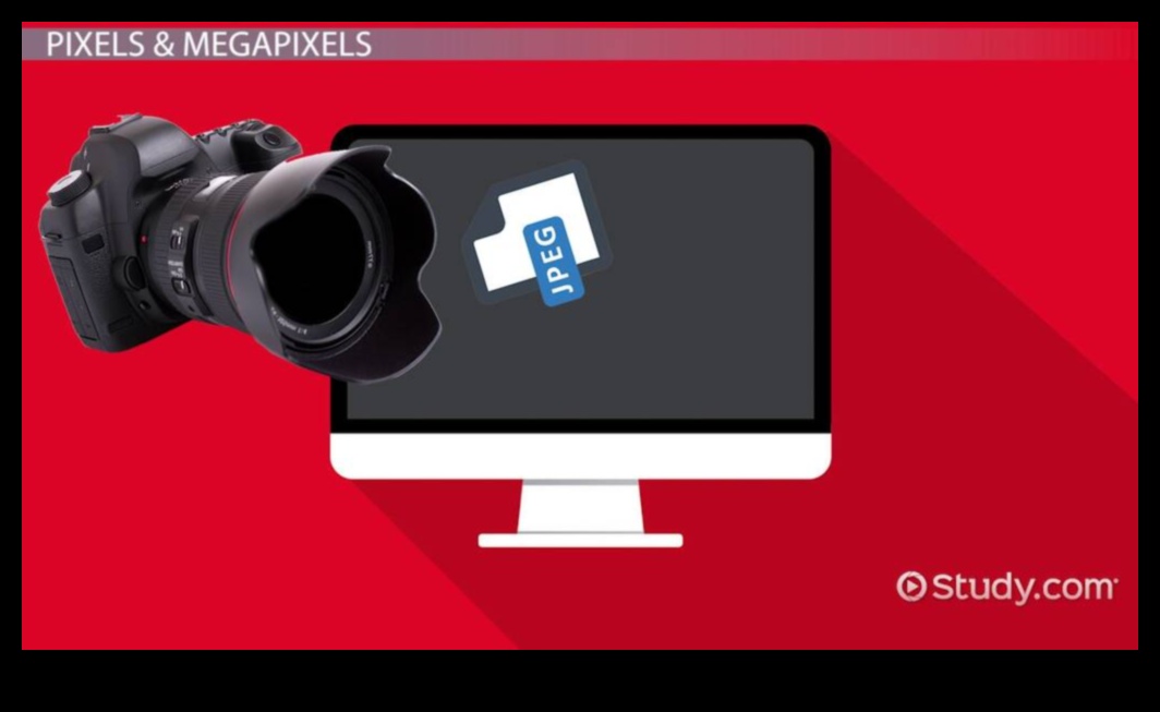 البكسلات والمنظورات: التقنيات الأساسية للتنقل في التصوير الرقمي