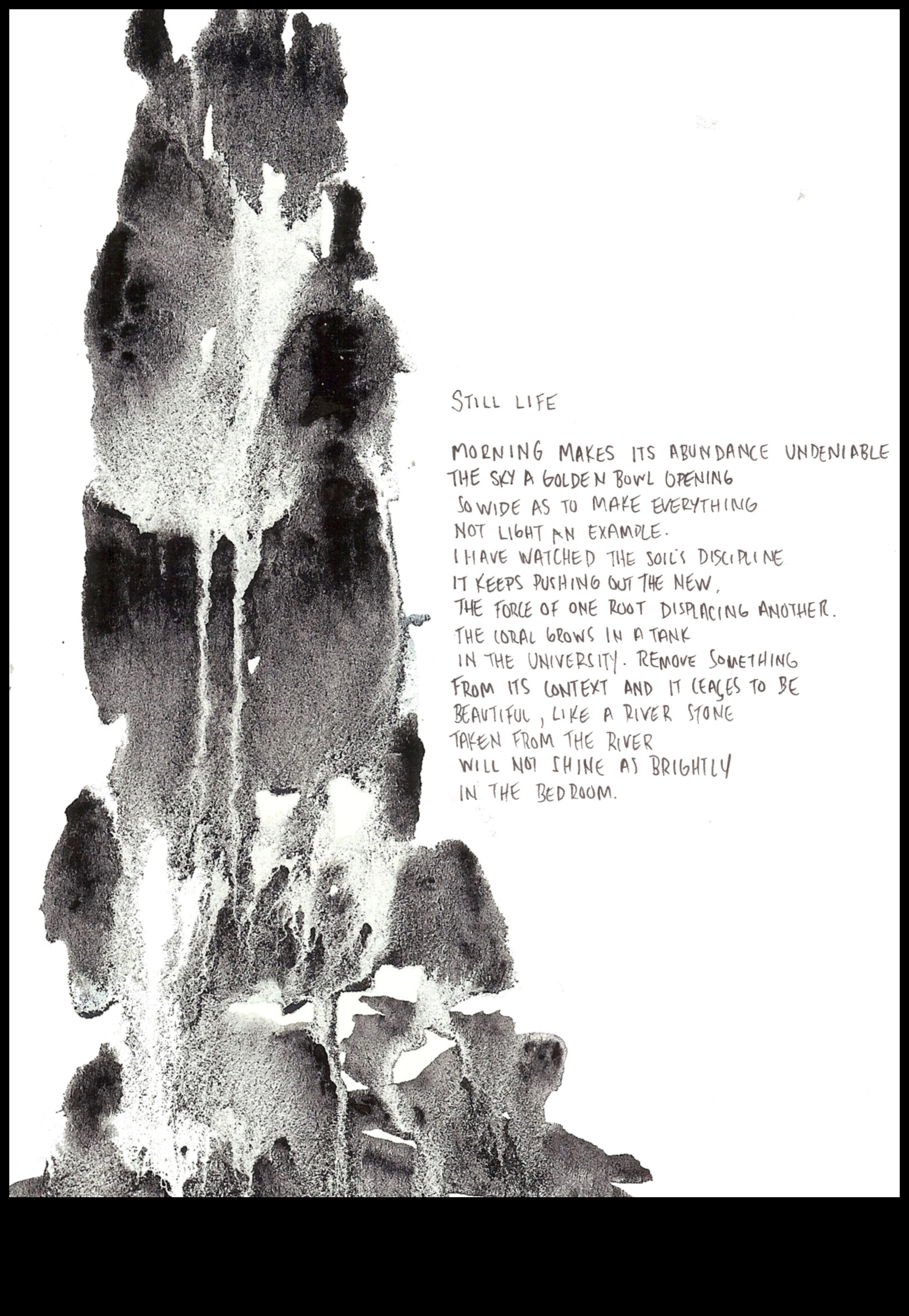 كائنات بالحبر: شعر الحياة الساكنة